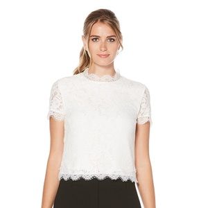 Laundry by Shelli Segel Mock Neck Lace Top